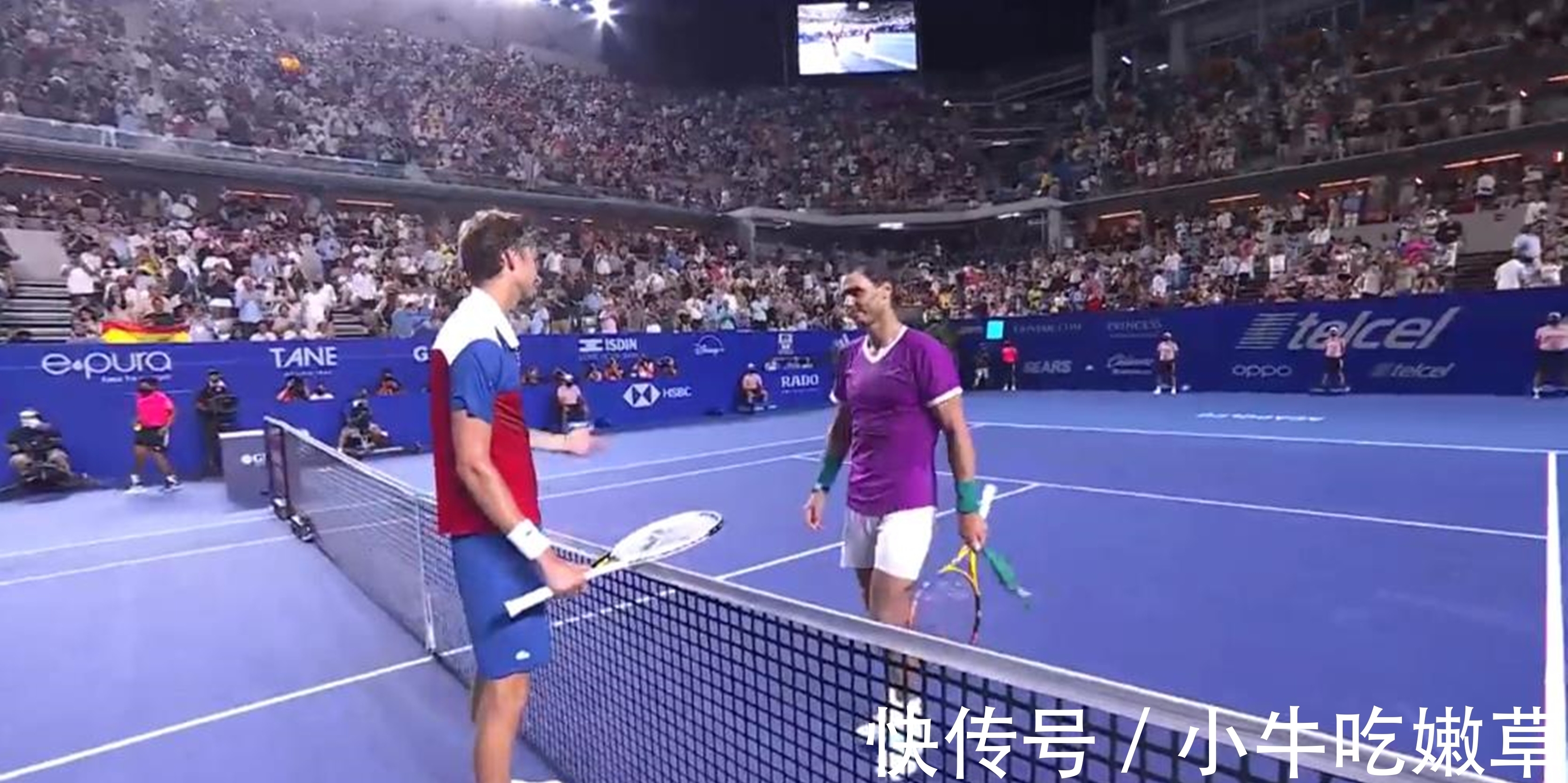 成长的养分 成长的养分