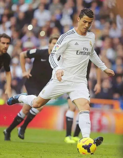 这不仅是哲 这不仅是哲