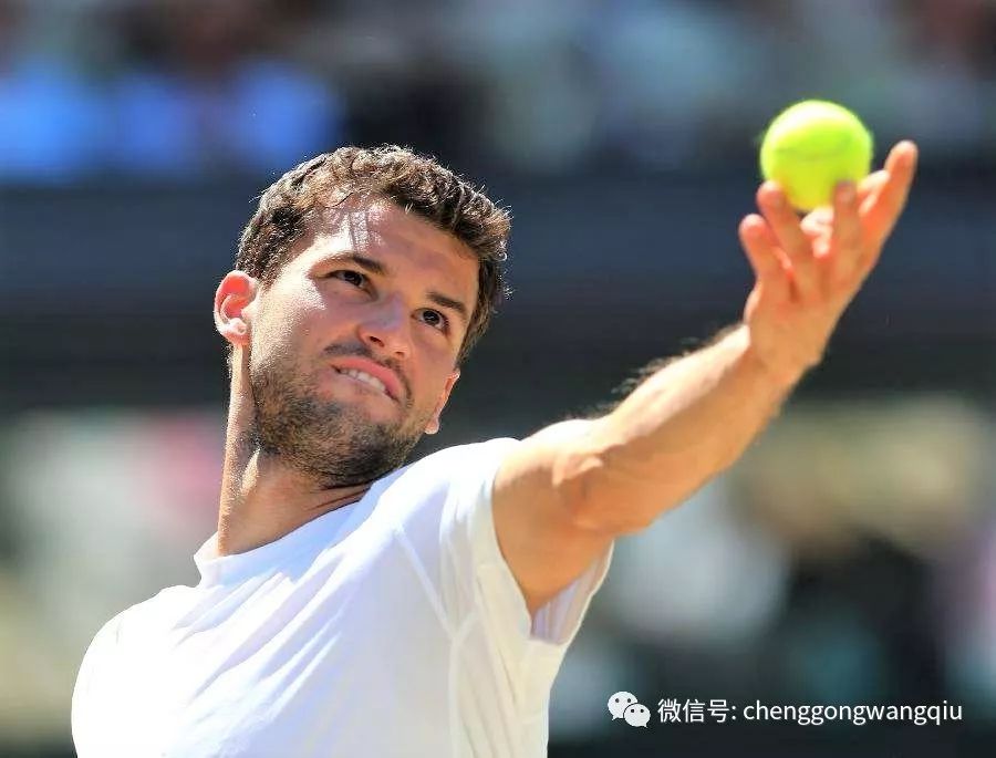 只要战术执 只要战术执