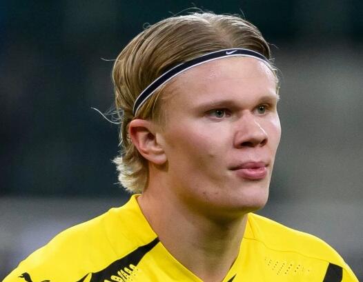 彰大会与动 彰大会与动